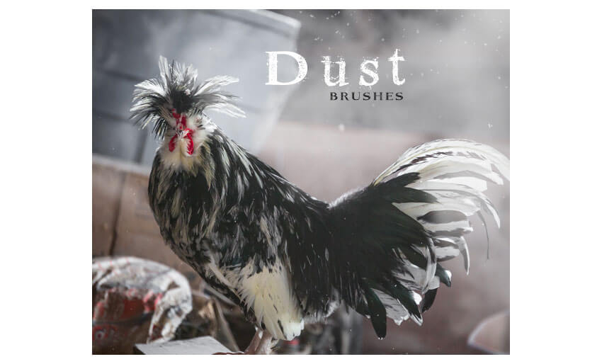 Dust Brushes